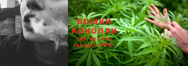 бошки Мегион