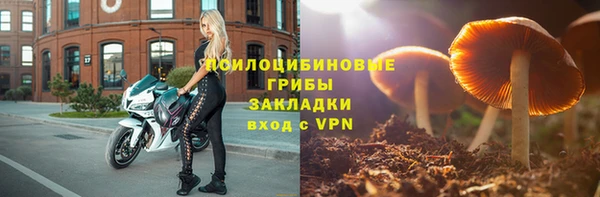 бошки Мегион