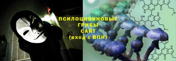 mdma Медногорск