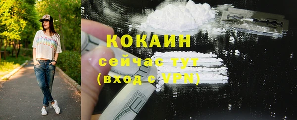 бошки Мегион