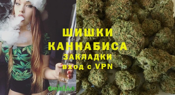бошки Мегион