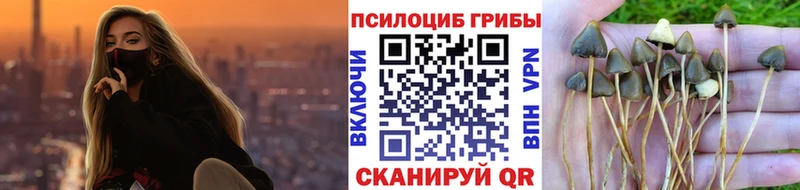 Псилоцибиновые грибы MAGIC MUSHROOMS  Купить закладки  Анива 